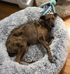 Lucinda Gatlin - Photo 1