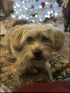 Steffie  Plunkett - Photo 6