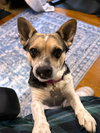 Buffy Plunkette - Photo 2