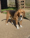 Winston Weaver - Photo 4