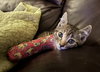 Raven C Grace - Photo 4
