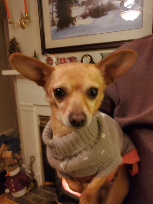 Kato Giblet — thumbnail 4