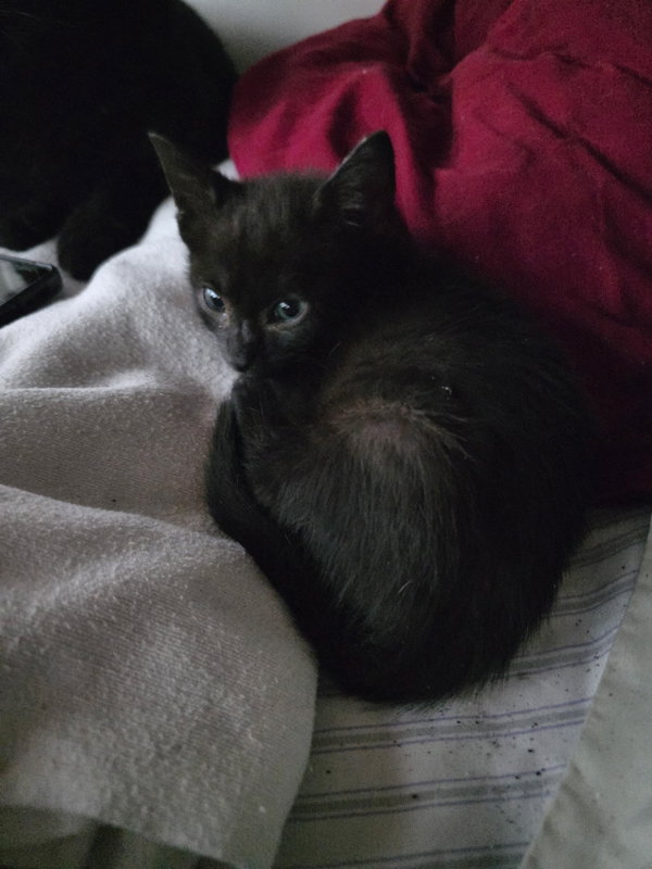 LUNA
