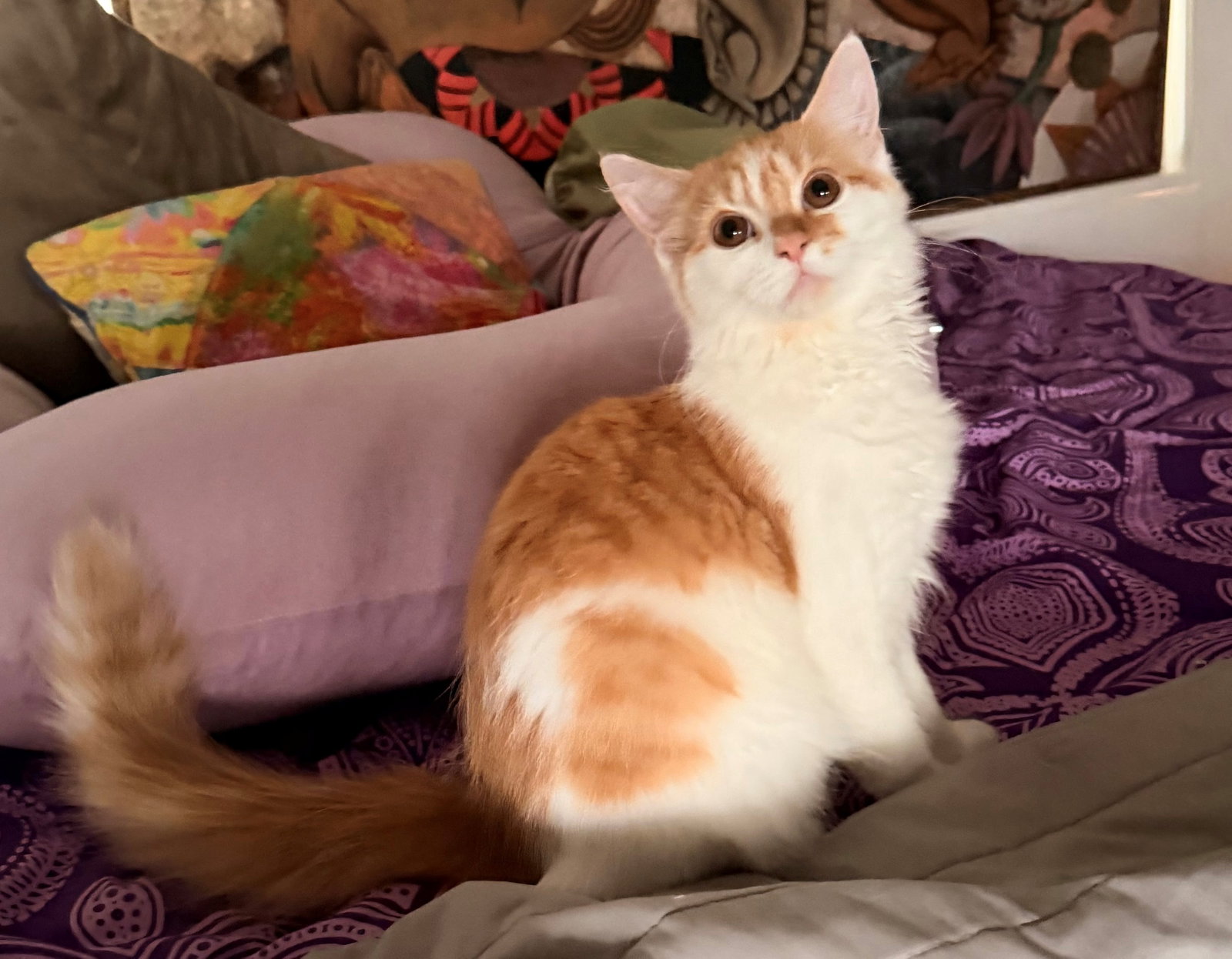 Prada, Persian