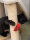 Maverick - Photo 2
