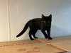 Maverick - Photo 3