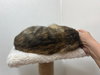 Kiwi - Photo 5