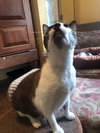 Dopey - Photo 2