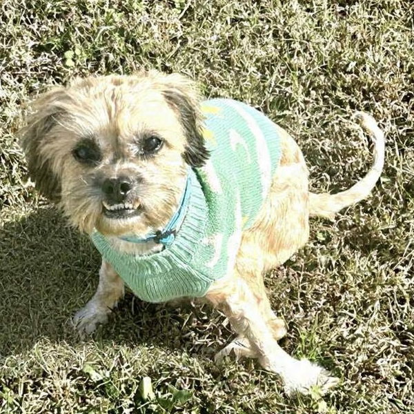 Widget