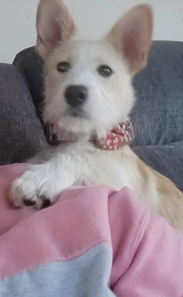 Missy Sue