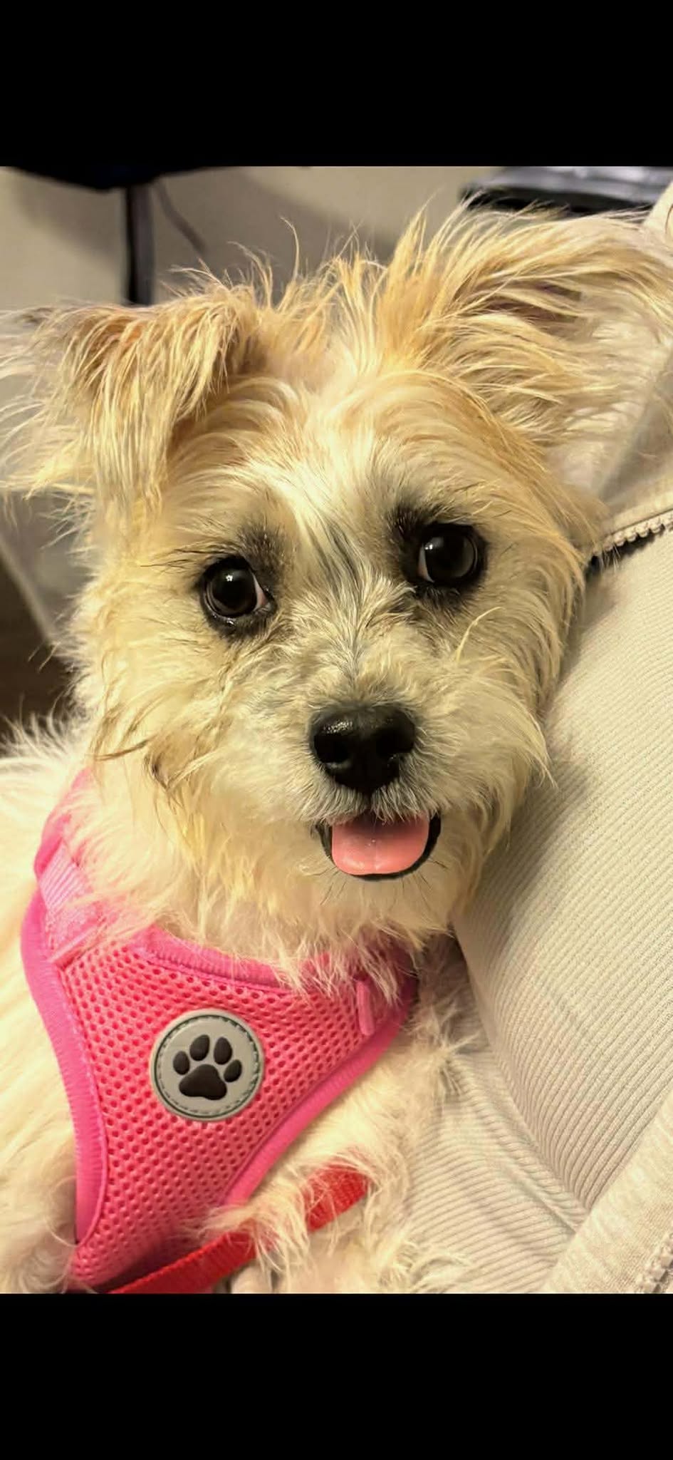 Zoey
