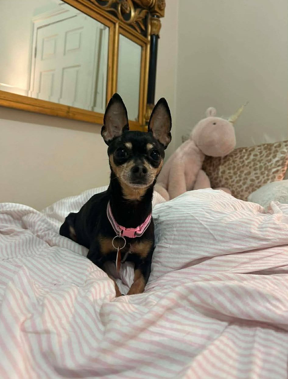 Isabella