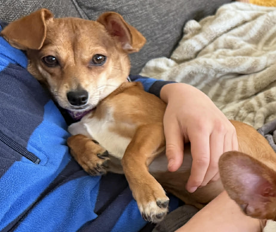 Mia