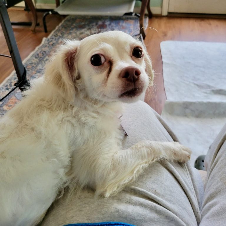 Miss Toots