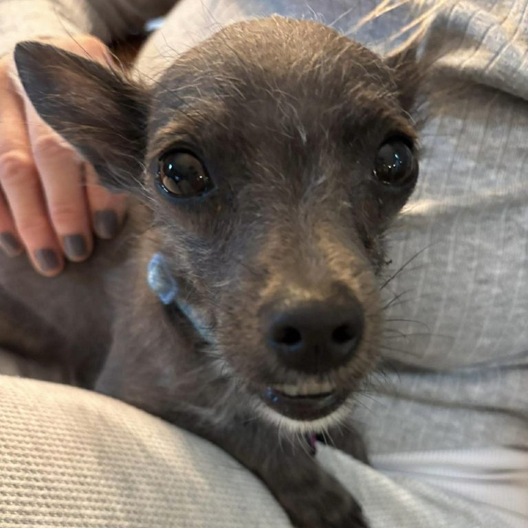 Chloe