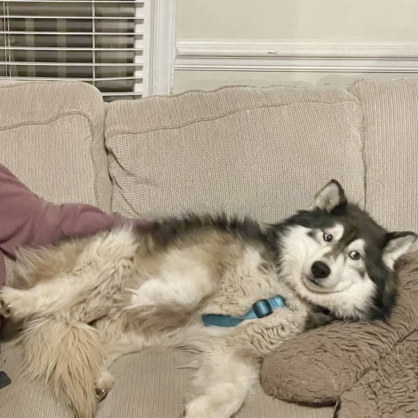 Bella