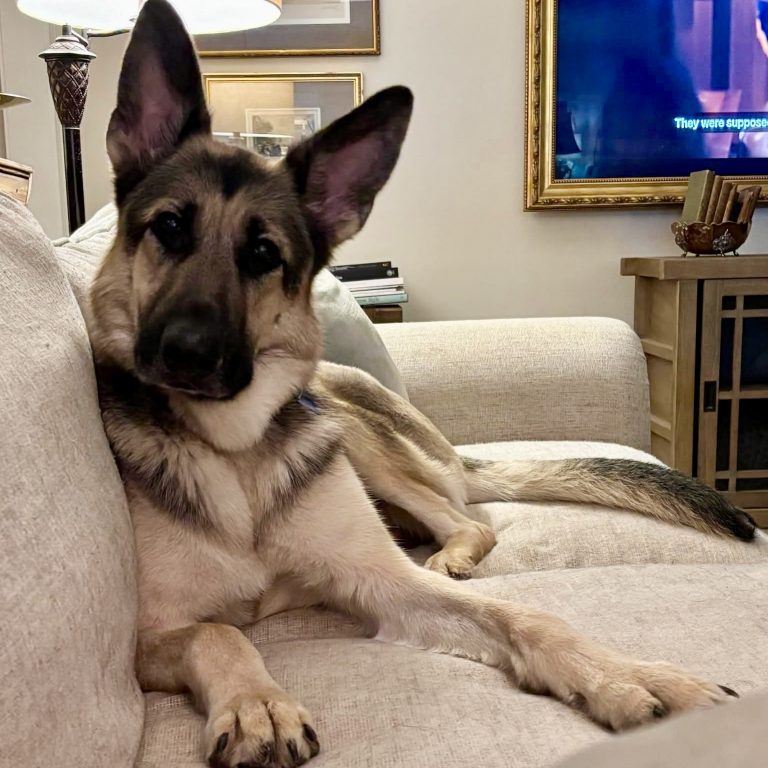 Duke
