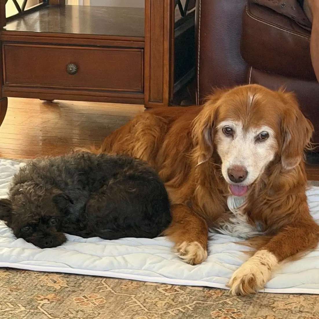 Barris image 3