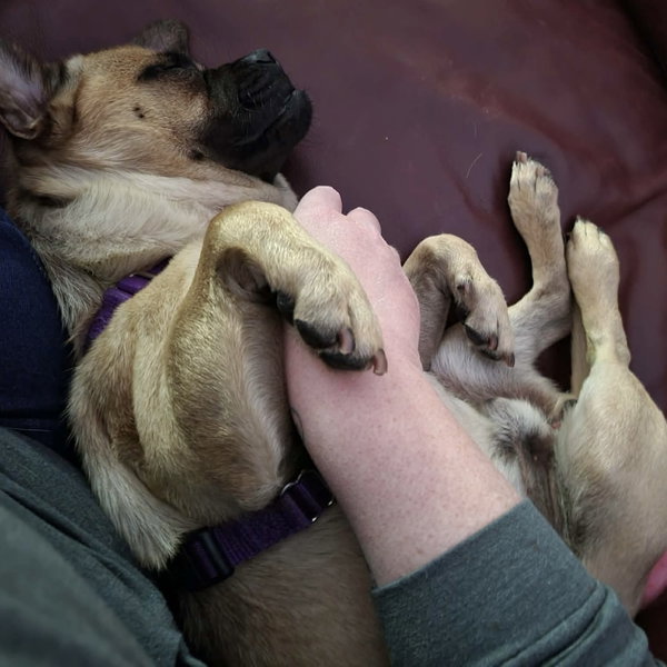 Gus