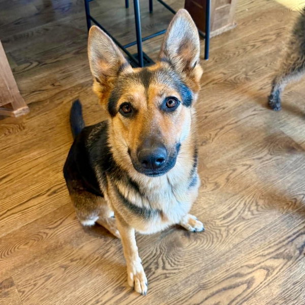 Ellie