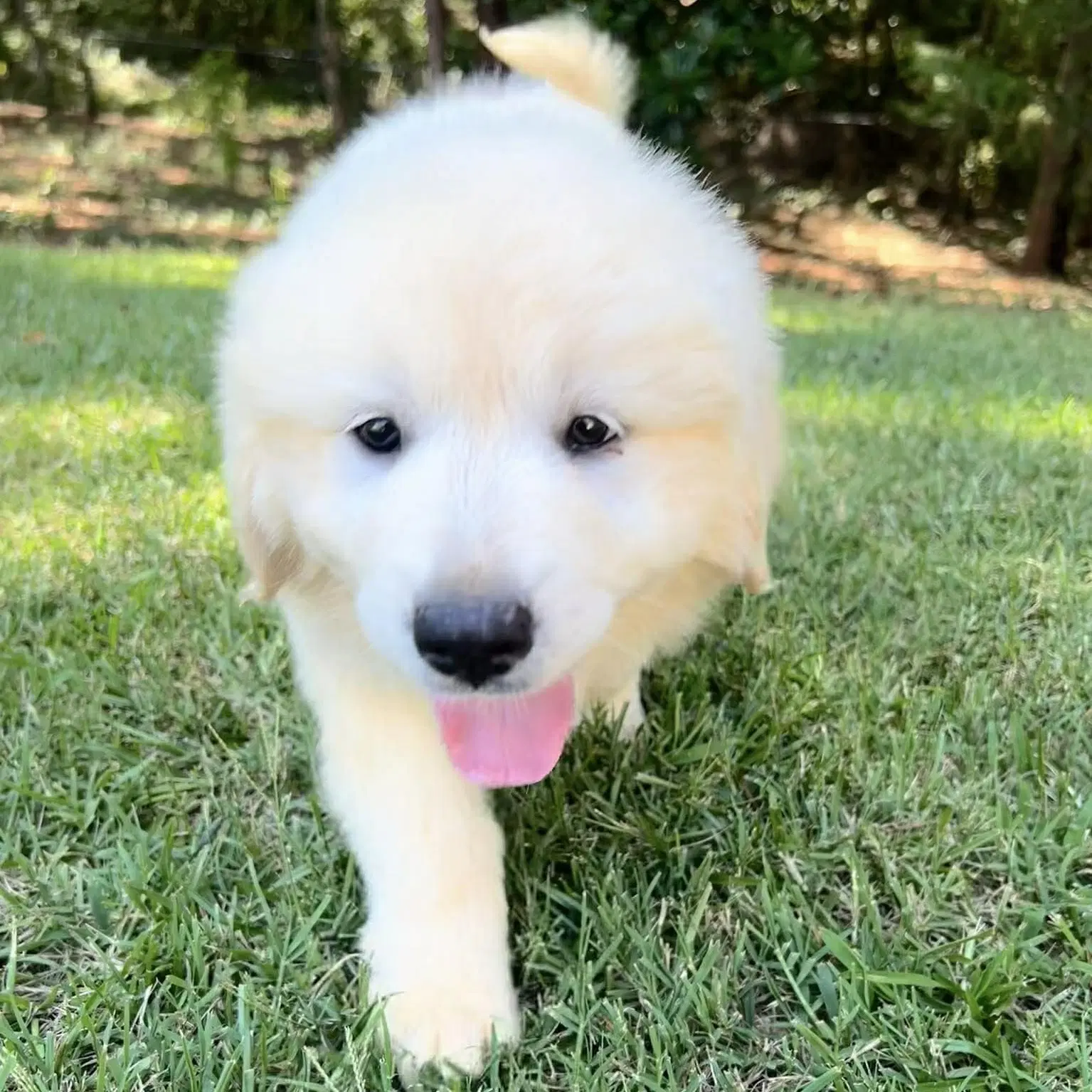 Winnie image 2