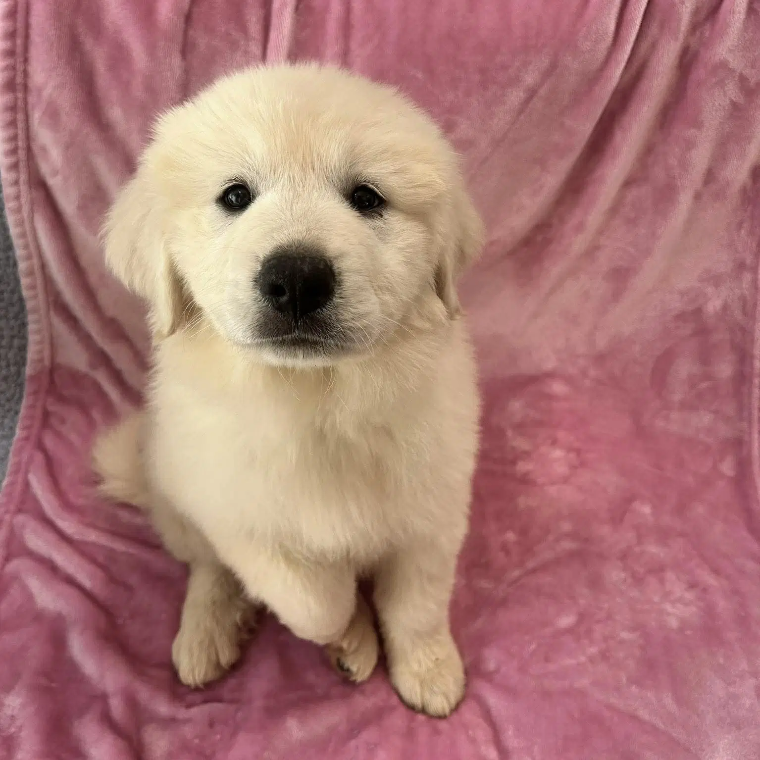 Winnie image 3
