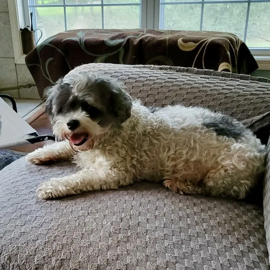 Maggie image 2
