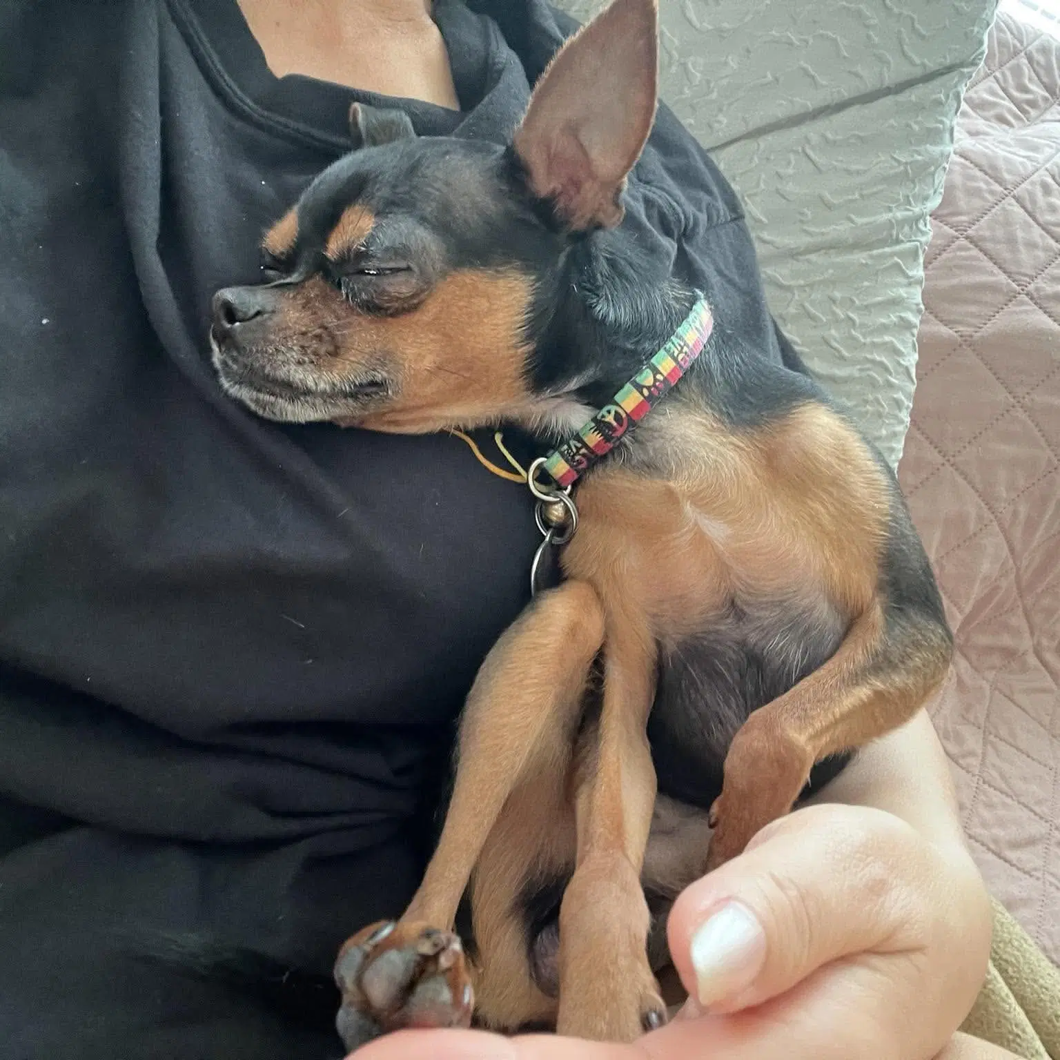 Loki image 4
