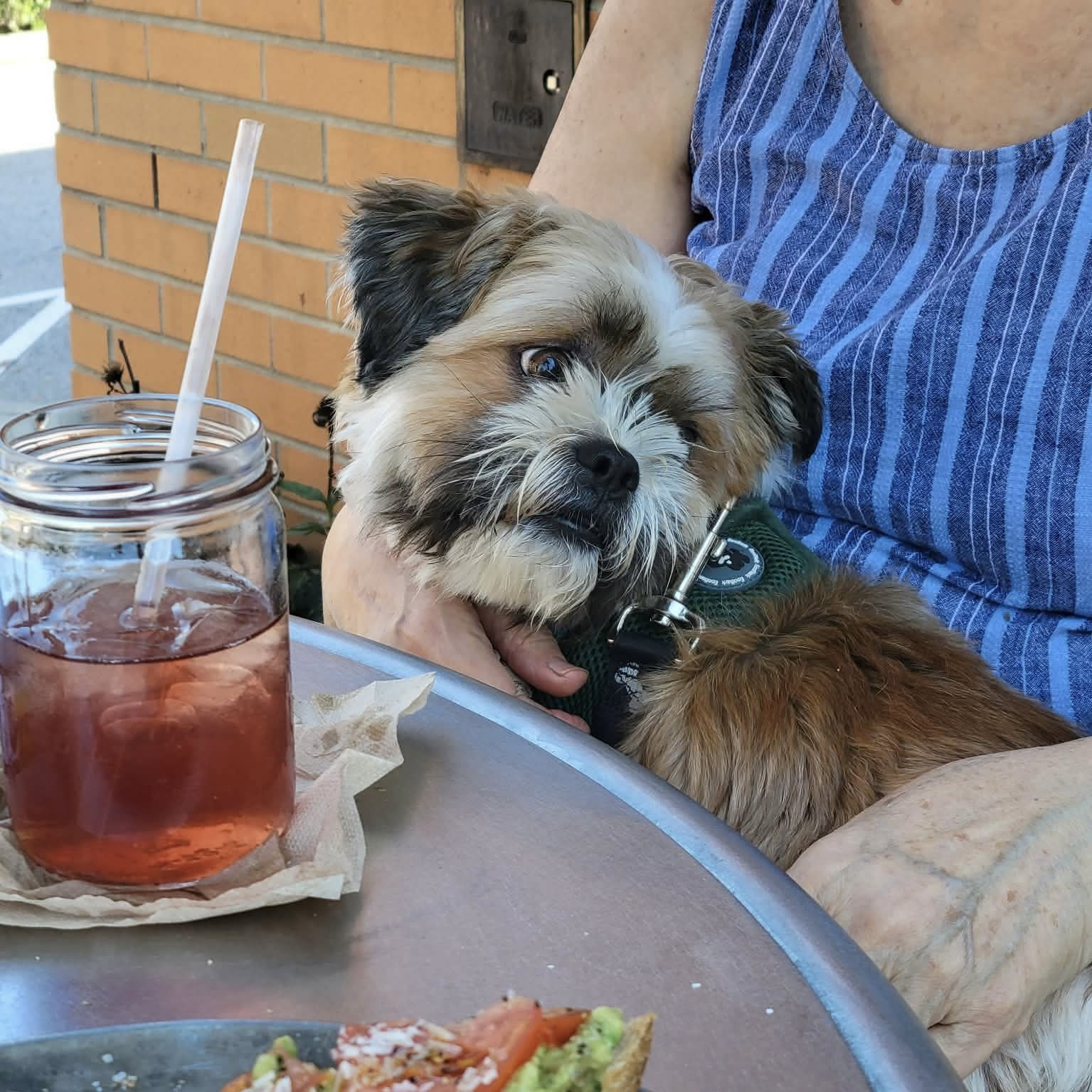 Kiba, photo 2