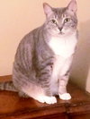 Princes Gigi - Photo 1
