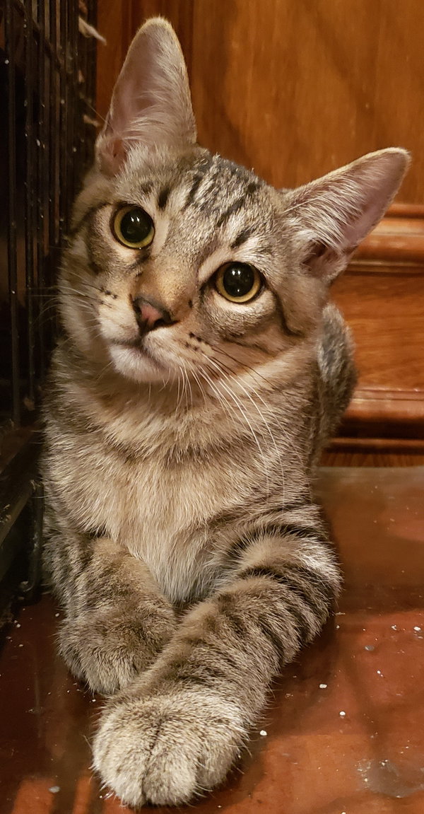 Nathaniel