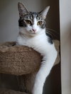 Sharleen #stunning-whiskers - Photo 1
