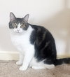 Sharleen #stunning-whiskers - Photo 9