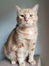 Lucky - Photo 1