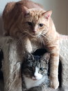 Lucky - Photo 3