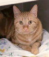 Bubbles (bonded with Cleocatra) - Photo 7