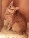Ginger boy #the-sweetest - Photo 3