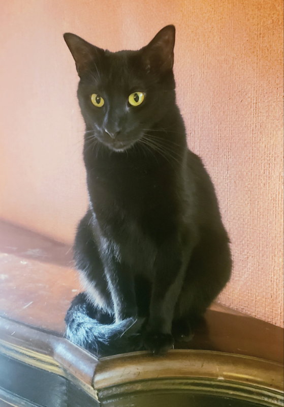 Milo