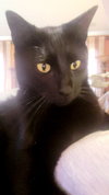 Milo - Photo 1