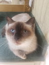 Mr. Brown - Photo 5