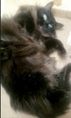 Heidy #diamond-in-the-rough - Photo 5