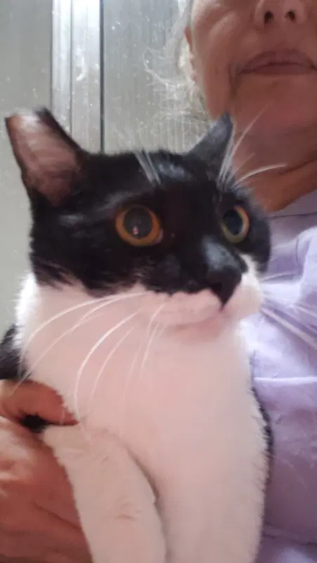 Rey For-Ever-Yours - Tuxedo