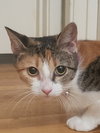 Antoinette #bundle-of-joy - Photo 7