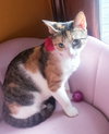 Antoinette #bundle-of-joy - Photo 6