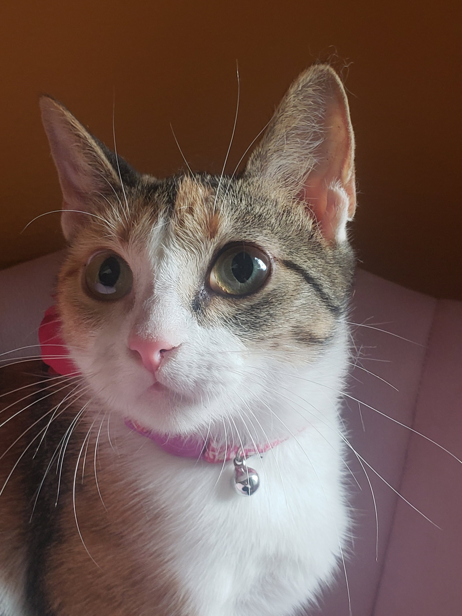 Antoinette #bundle-of-joy