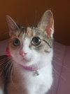 Antoinette #bundle-of-joy - Photo 2