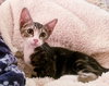 Willie - Photo 3