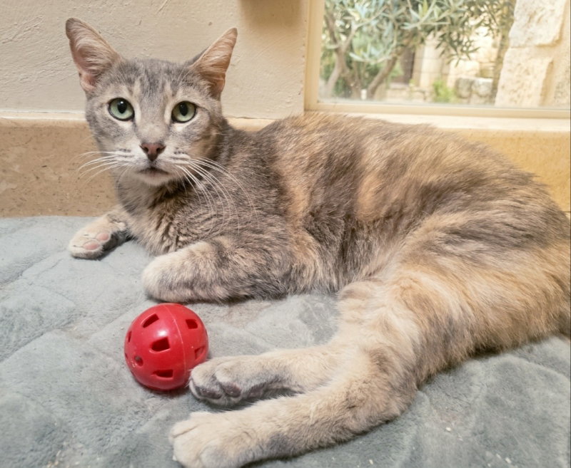 Agatha, photo 2