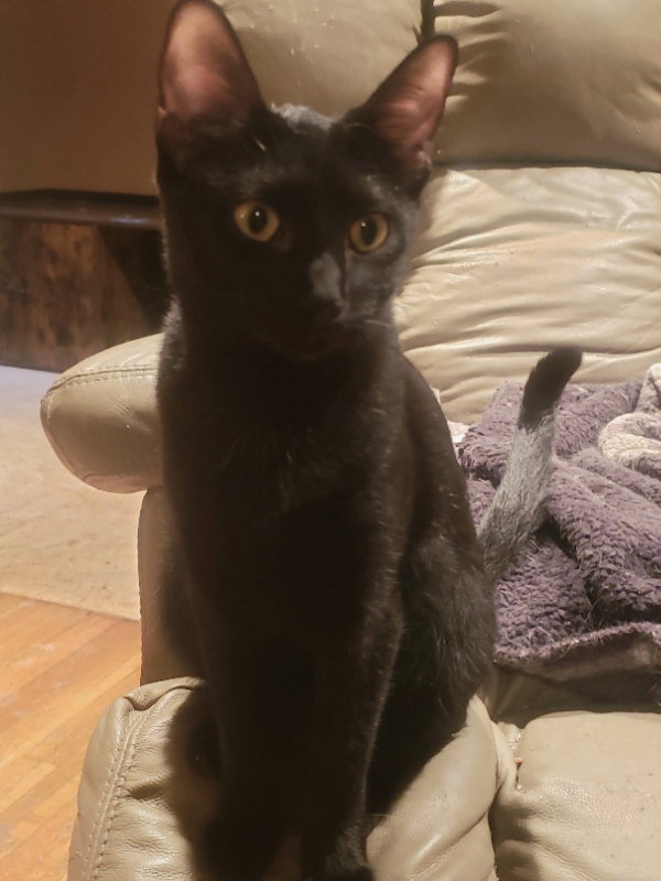 Olivia