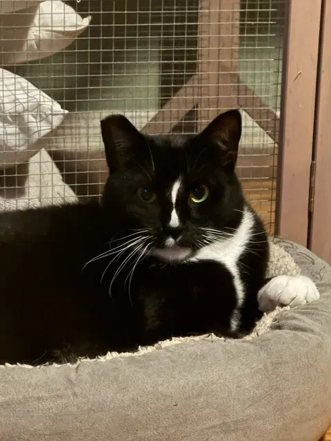 Keena image 2
